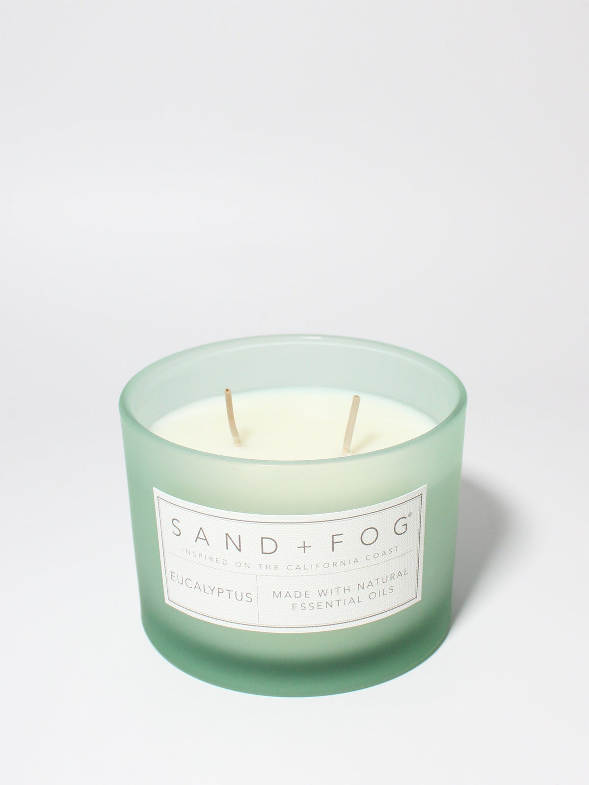 Eucalyptus 12 oz aromatic scented candle