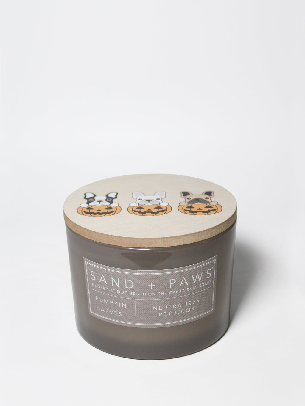 Sand + Paws Pumpkin Harvest 12 oz aromatic scented candle