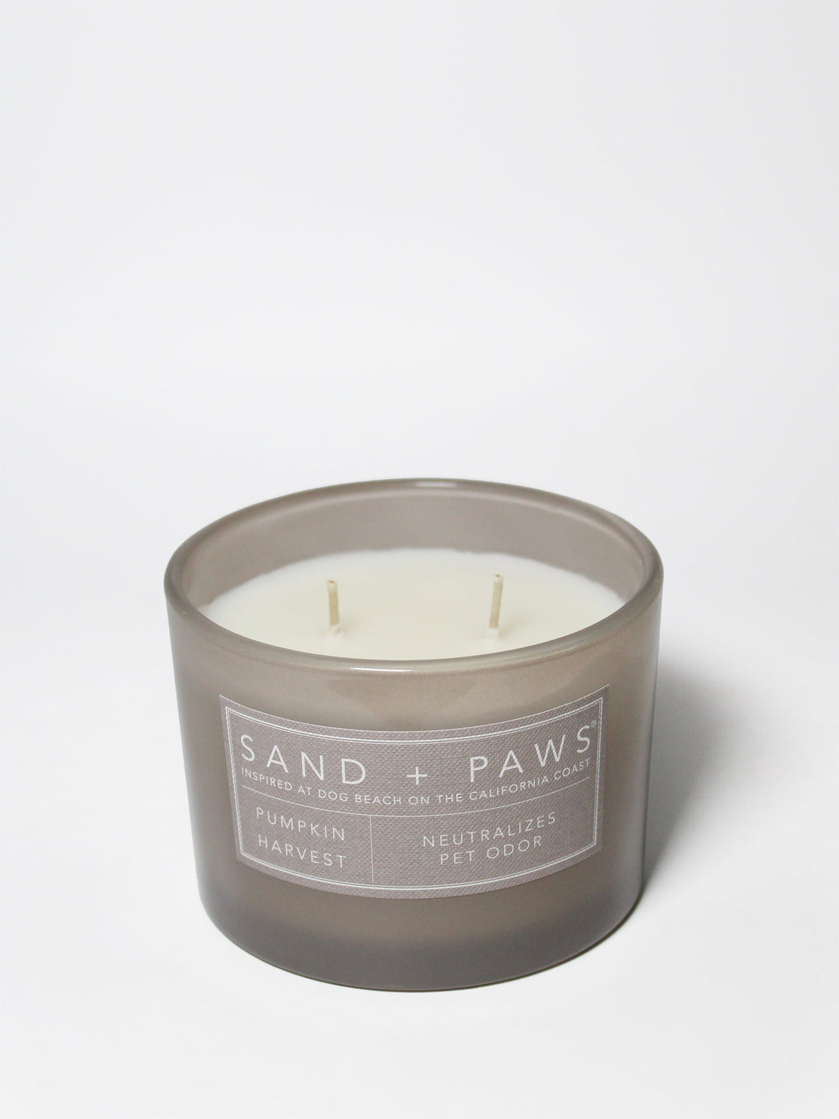 Sand + Paws Pumpkin Harvest 12 oz aromatic scented candle