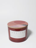 Sun-n-Fun 12 oz aromatic scented candle