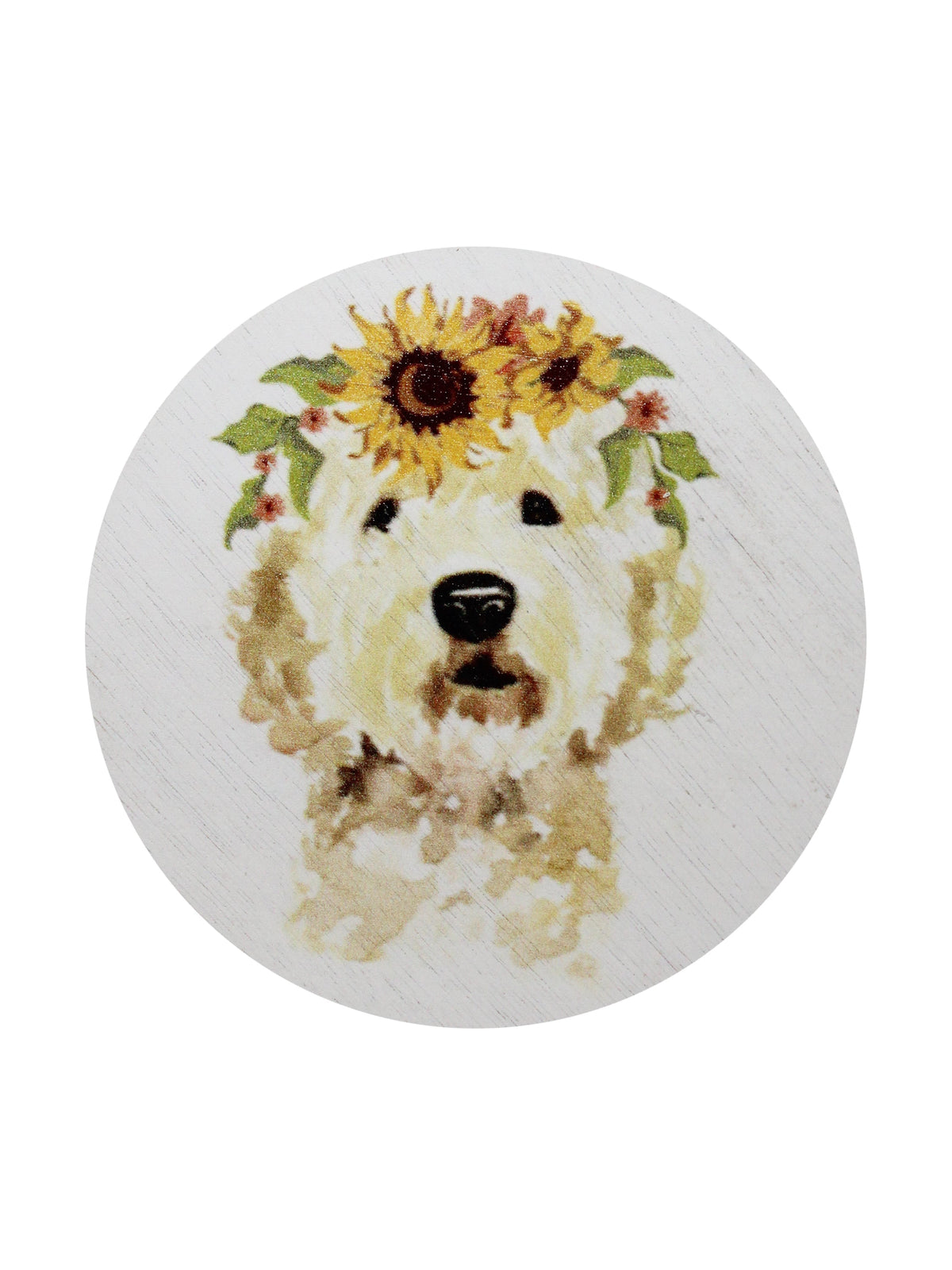 Sand + Paws Mango Tangerine 12 oz aromatic scented candle