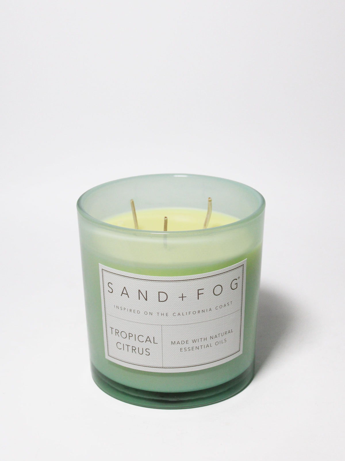 Tropical Citrus 21 oz aromatic scented candle