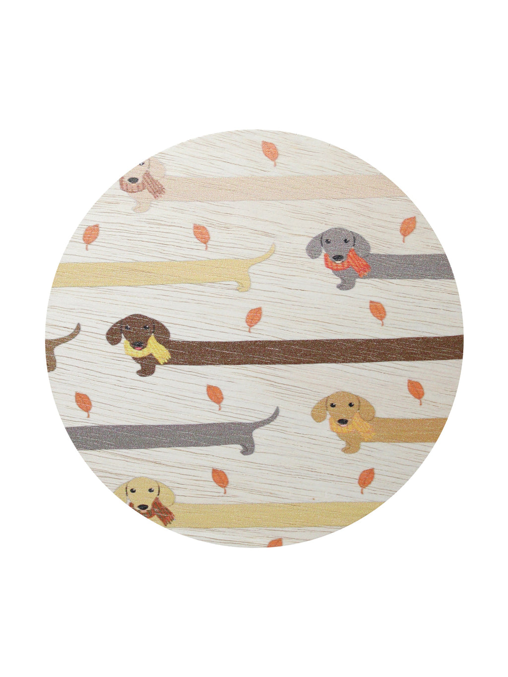 Sand + Paws Apple Cider 12 oz aromatic scented candle
