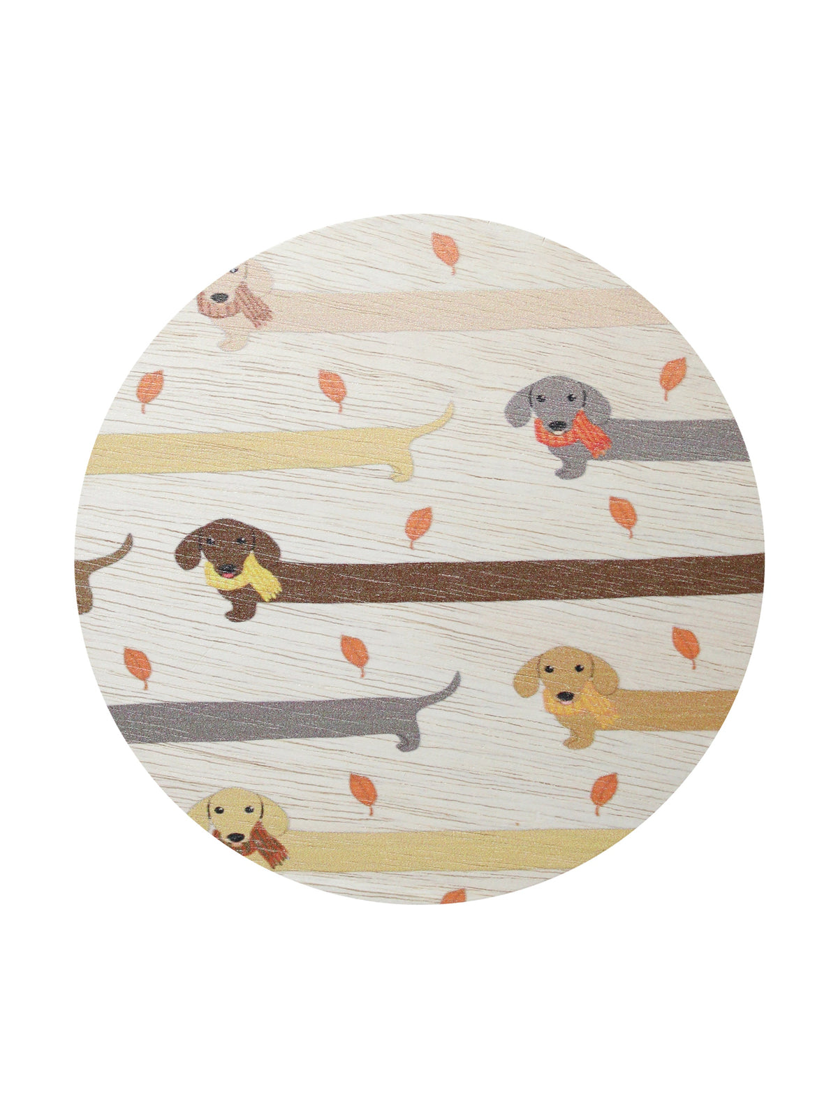 Sand + Paws Apple Cider 12 oz aromatic scented candle