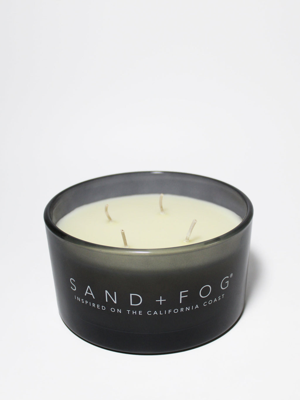 Fern & Moss 23 oz aromatic scented candle