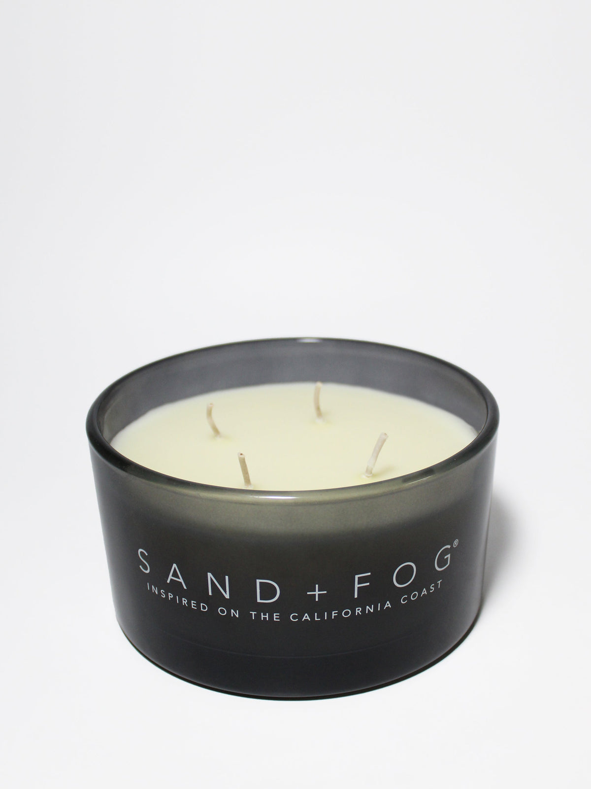 Fern & Moss 23 oz aromatic scented candle