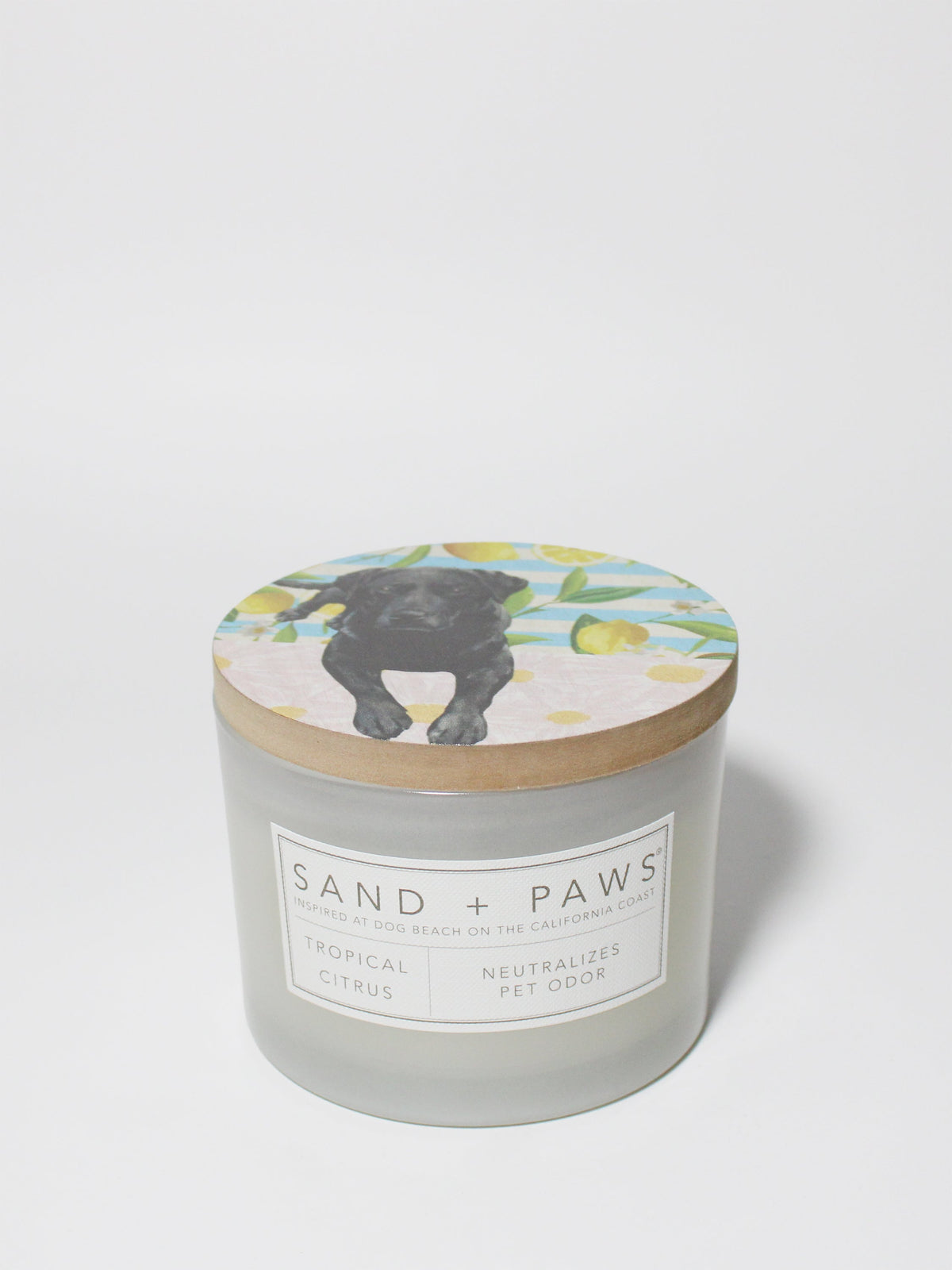 Sand + Paws Tropical Citrus 12 oz aromatic scented candle