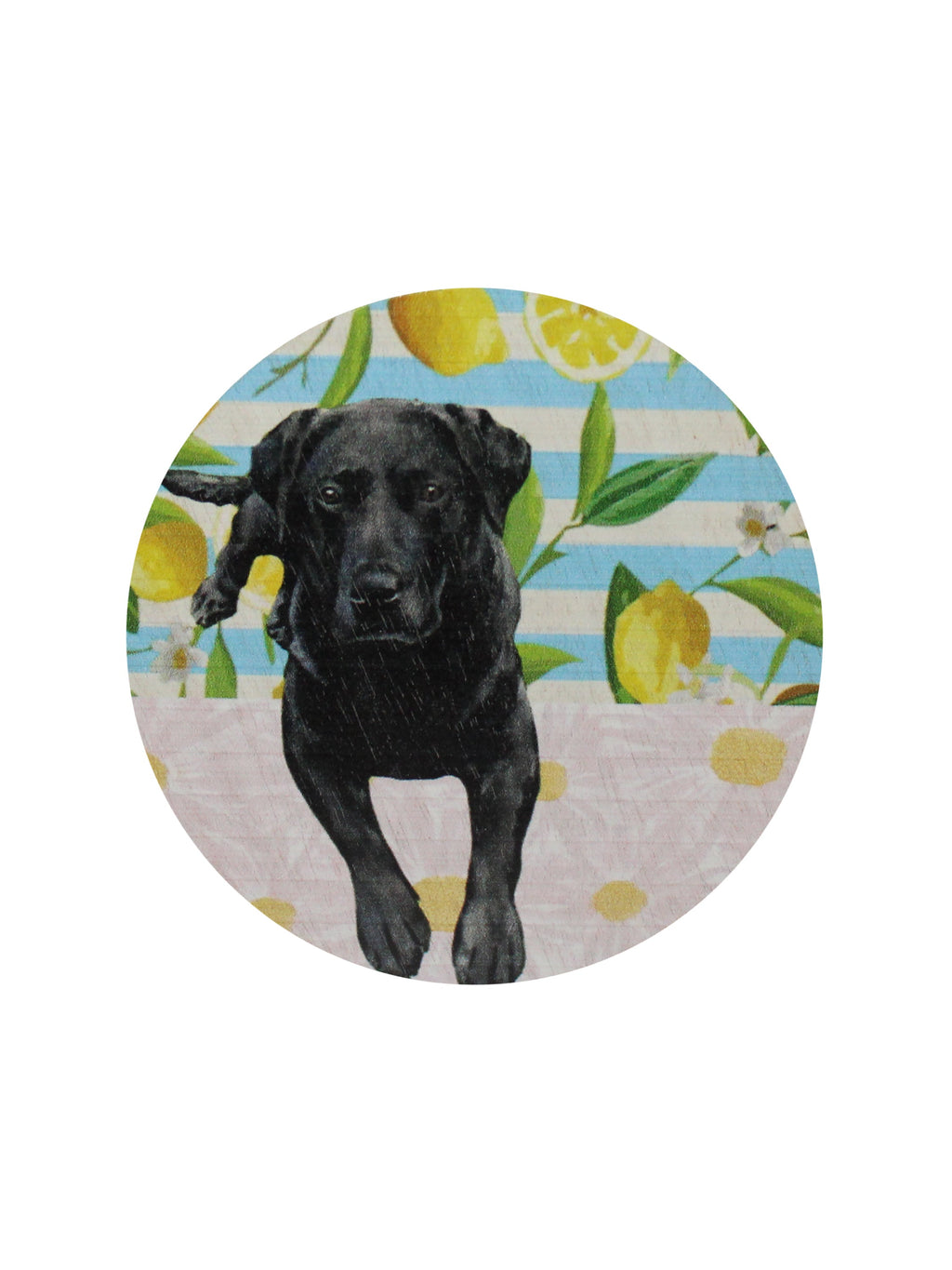 Sand + Paws Tropical Citrus 12 oz aromatic scented candle