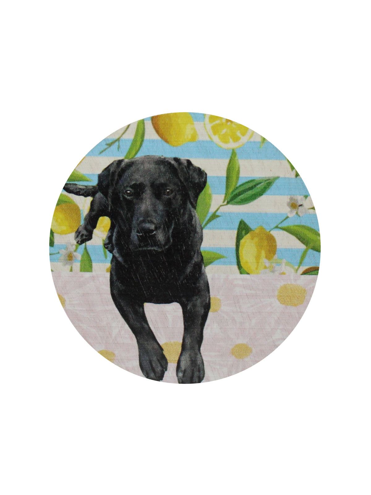 Sand + Paws Tropical Citrus 12 oz aromatic scented candle