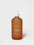Spiced Gingerbread 15.7 oz Gentle Liquid Hand Soap