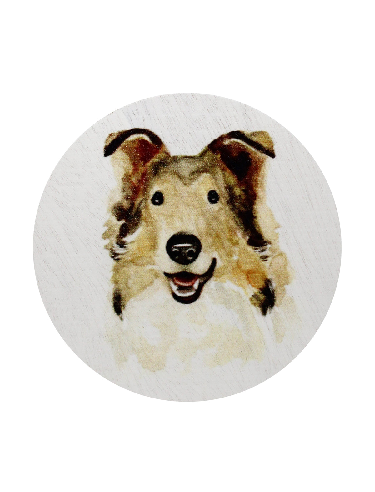 Sand + Paws Desert Rain 12 oz aromatic scented candle