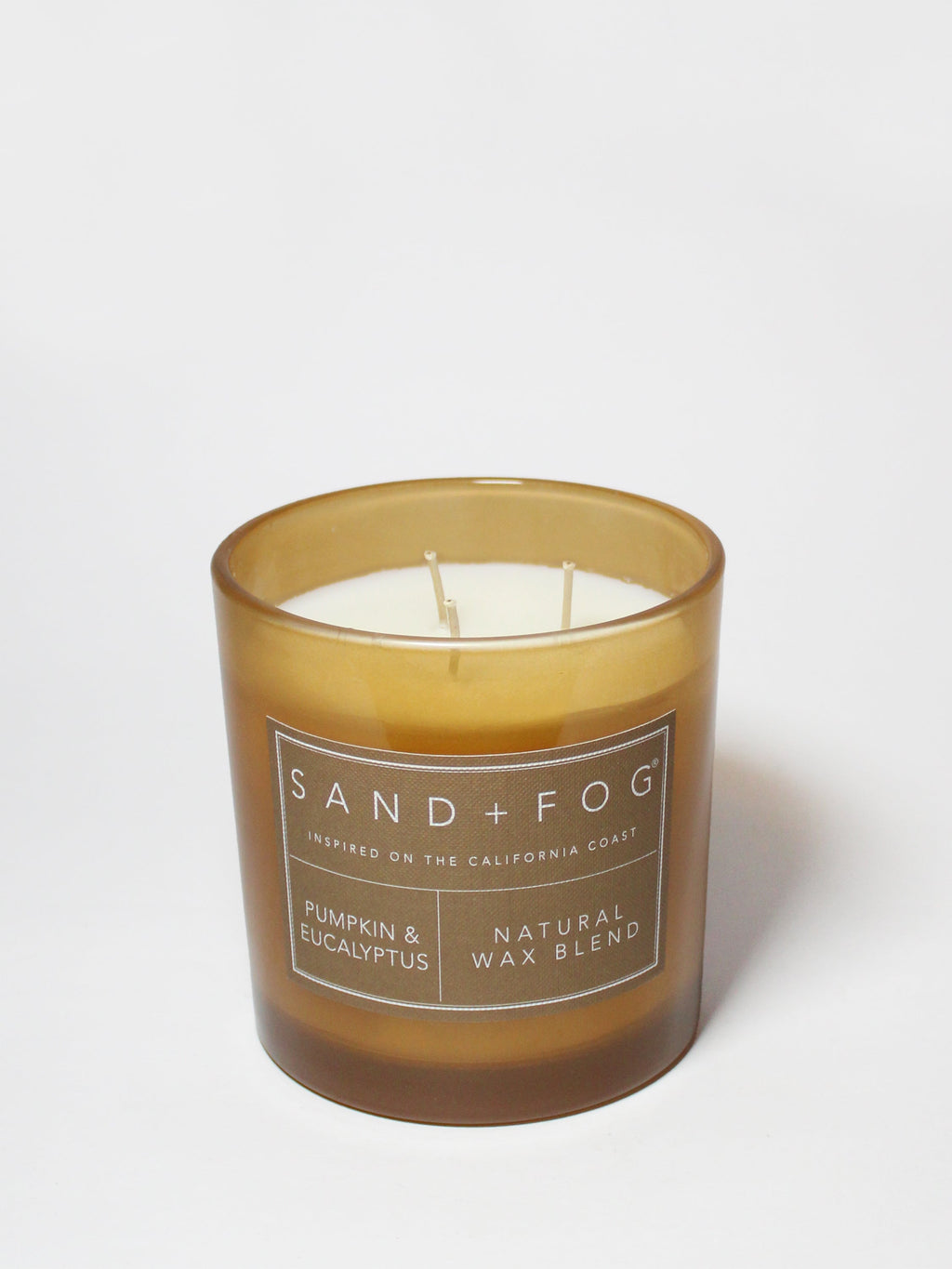 Pumpkin & Eucalyptus 21 oz aromatic scented candle