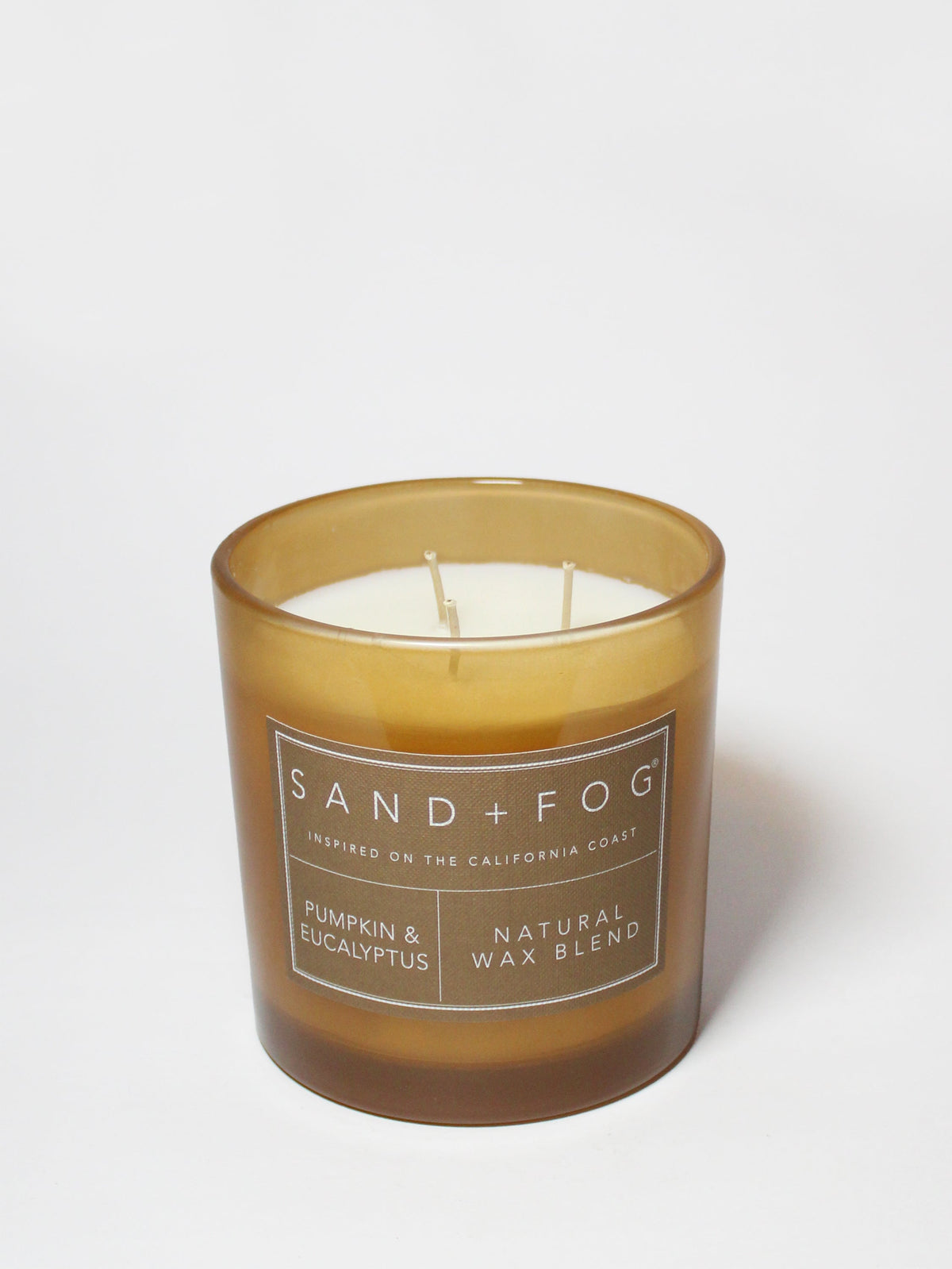 Pumpkin & Eucalyptus 21 oz aromatic scented candle