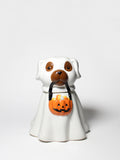 Sand + Paws Jack-o'-Lantern 11 oz aromatic scented candle
