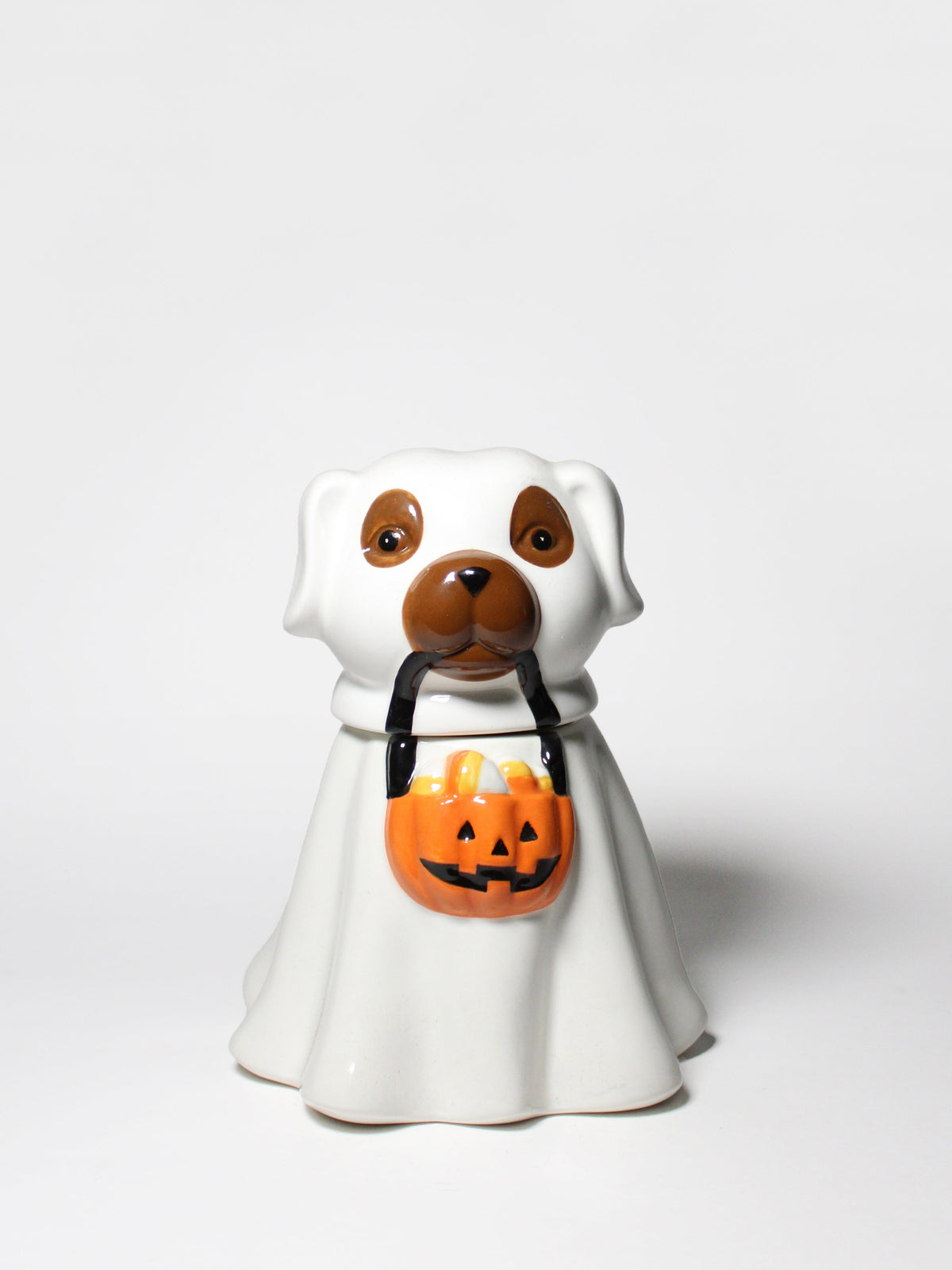 Sand + Paws Jack-o'-Lantern 11 oz aromatic scented candle