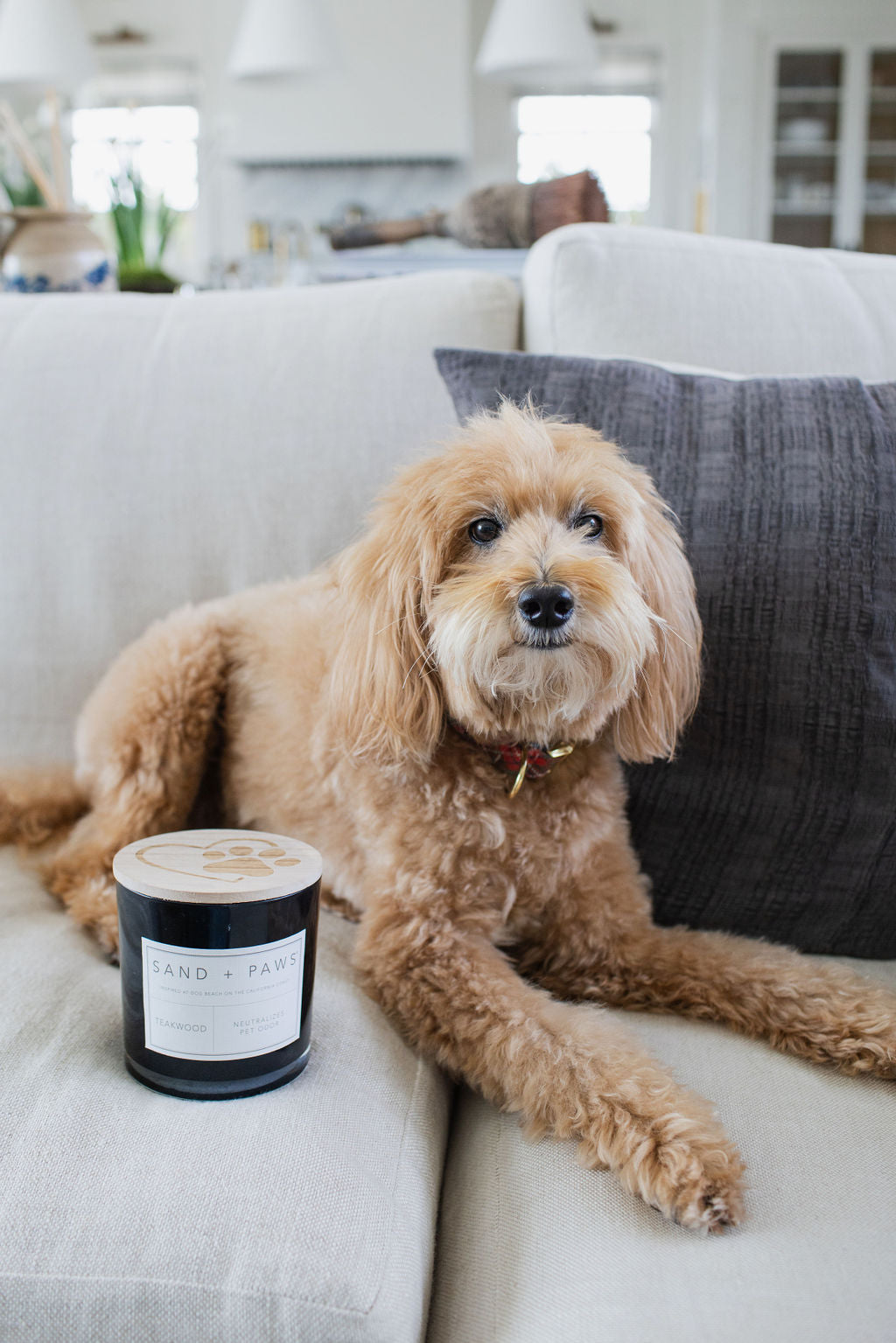 Sand + Paws Teakwood 21 oz aromatic scented candle
