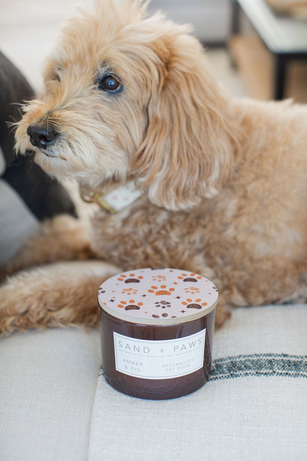 Sand + Paws Amber & Fig 12 oz aromatic scented candle