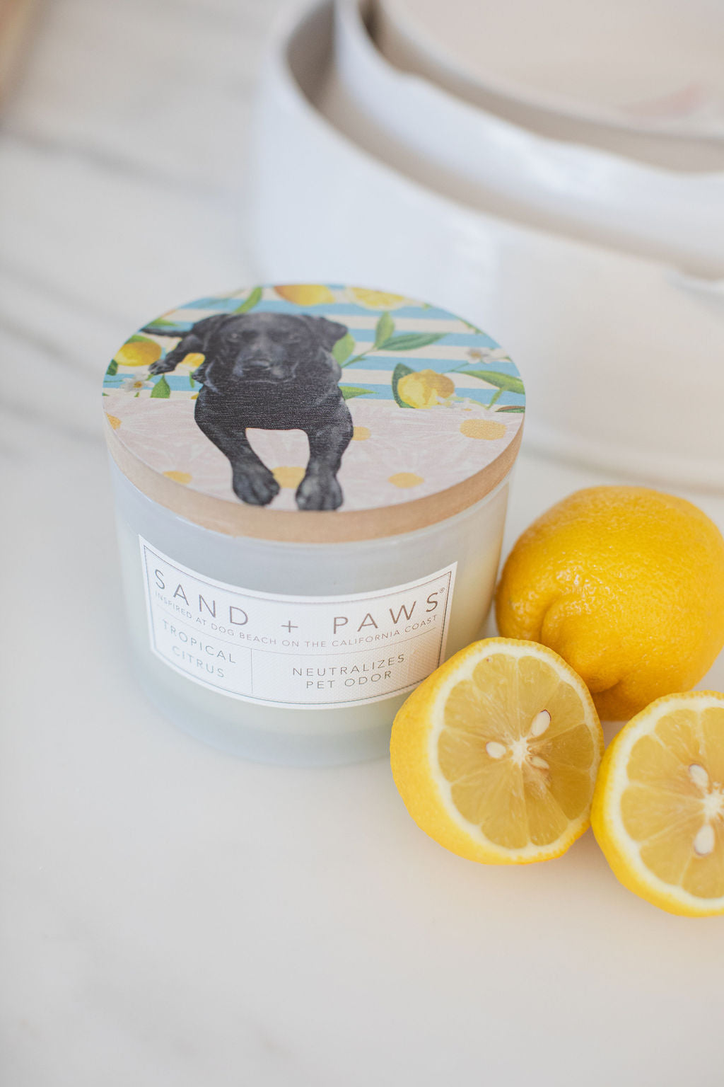 Sand + Paws Tropical Citrus 12 oz aromatic scented candle