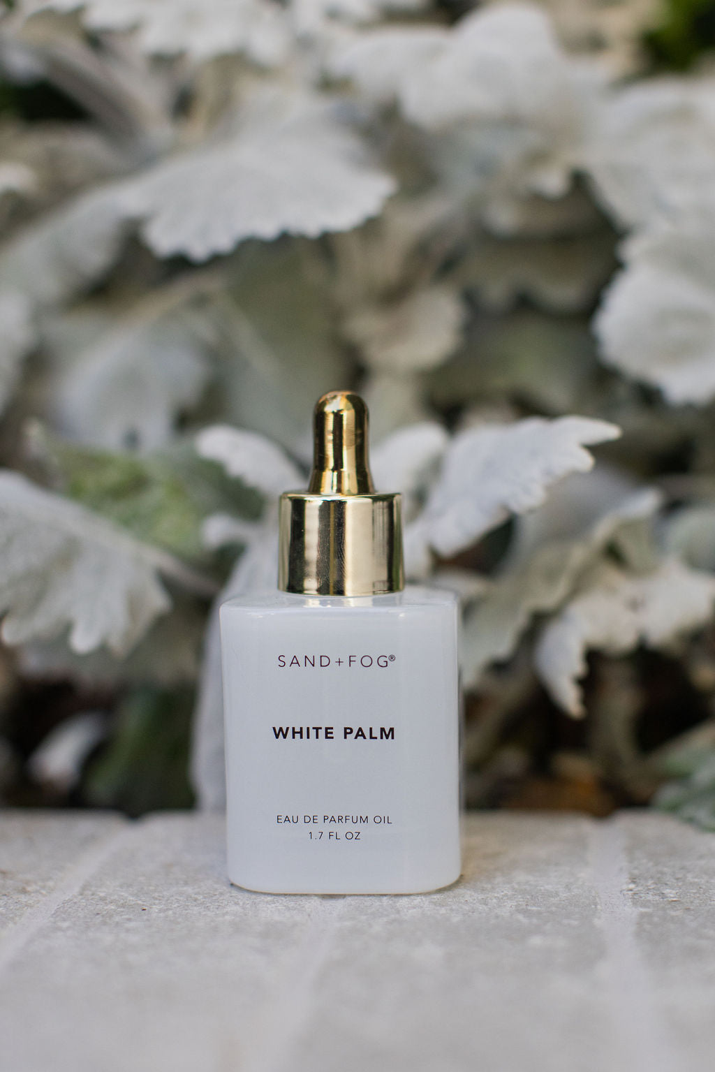 White Palm 50 ml Luxurious Perfume Oil Dropper