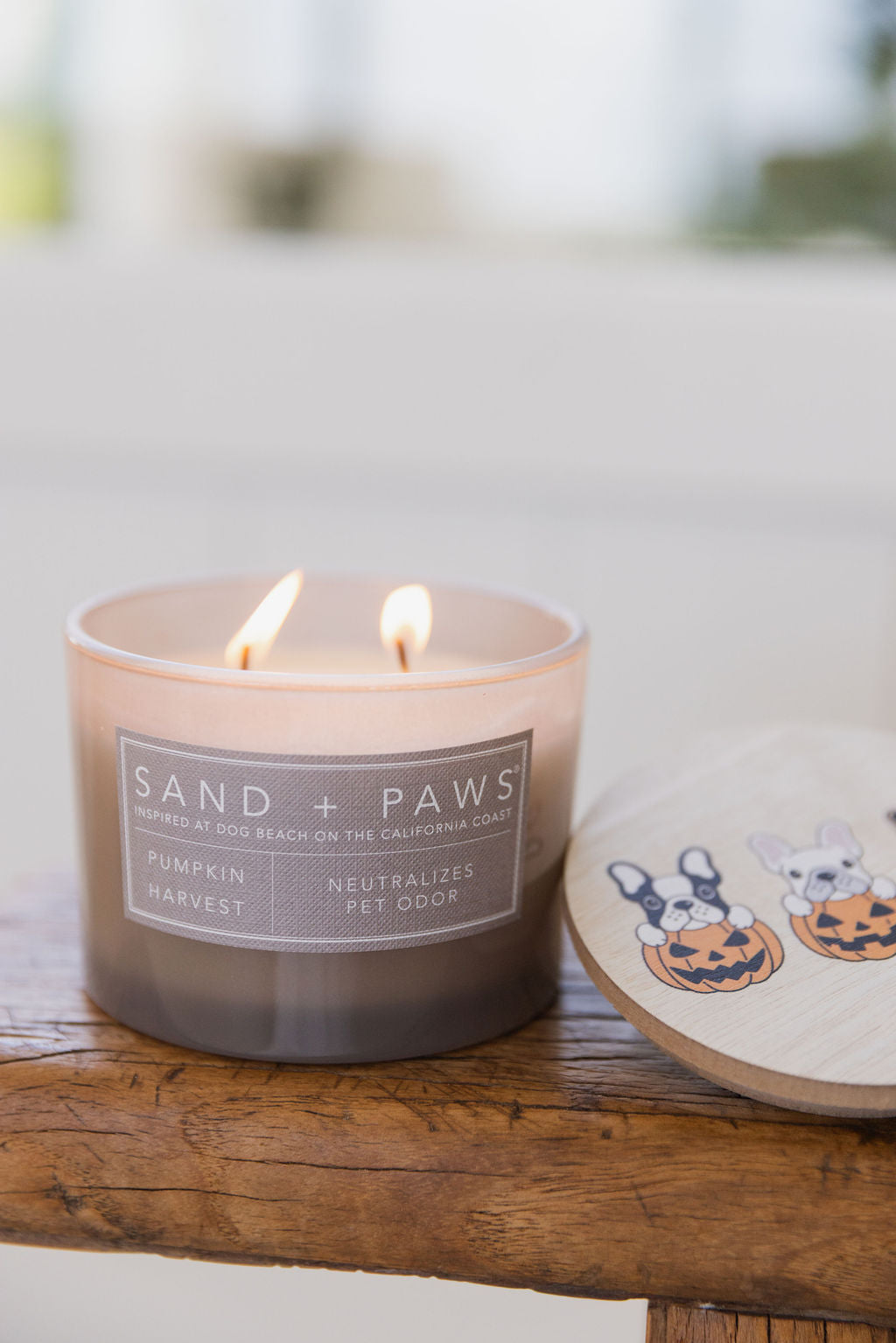Sand + Paws Pumpkin Harvest 12 oz aromatic scented candle