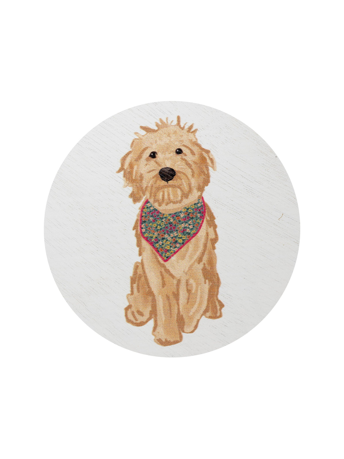 Sand + Paws Laundry Day 12 oz aromatic scented candle