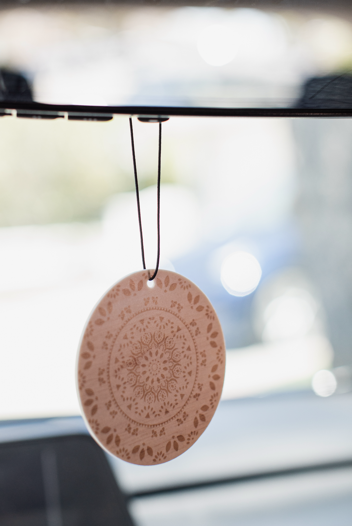 Set of 8 Refreshing Car Air Fresheners