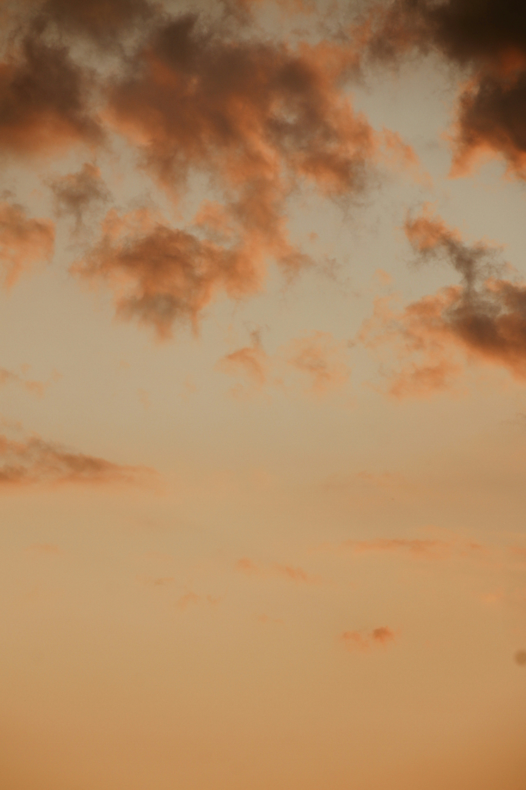 Golden Hour 50 ml Elegant Perfume Oil Rollerball