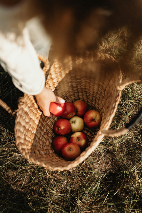Apple Picking 12 oz aromatic scented candle