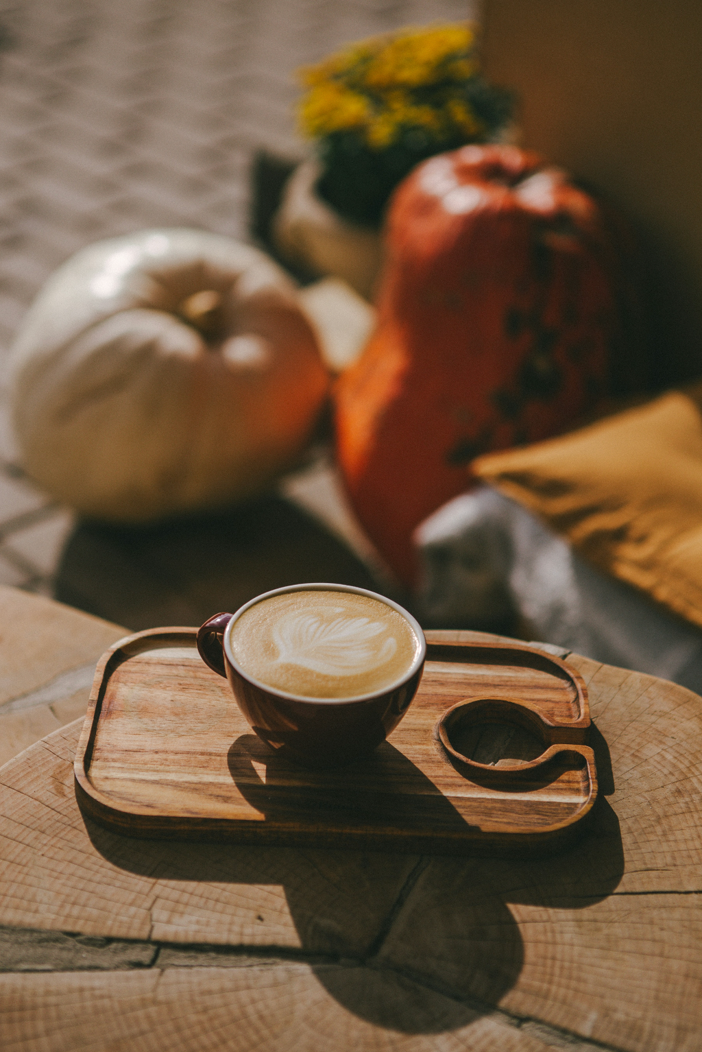 Sand + Paws Pumpkin Soy Latte 12 oz aromatic scented candle
