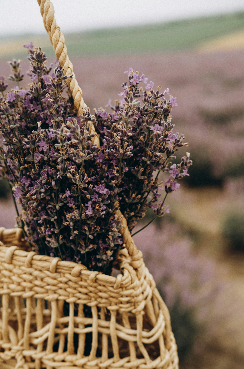 Cedar & Lavender 100 ml Aromatic Reed Diffuser