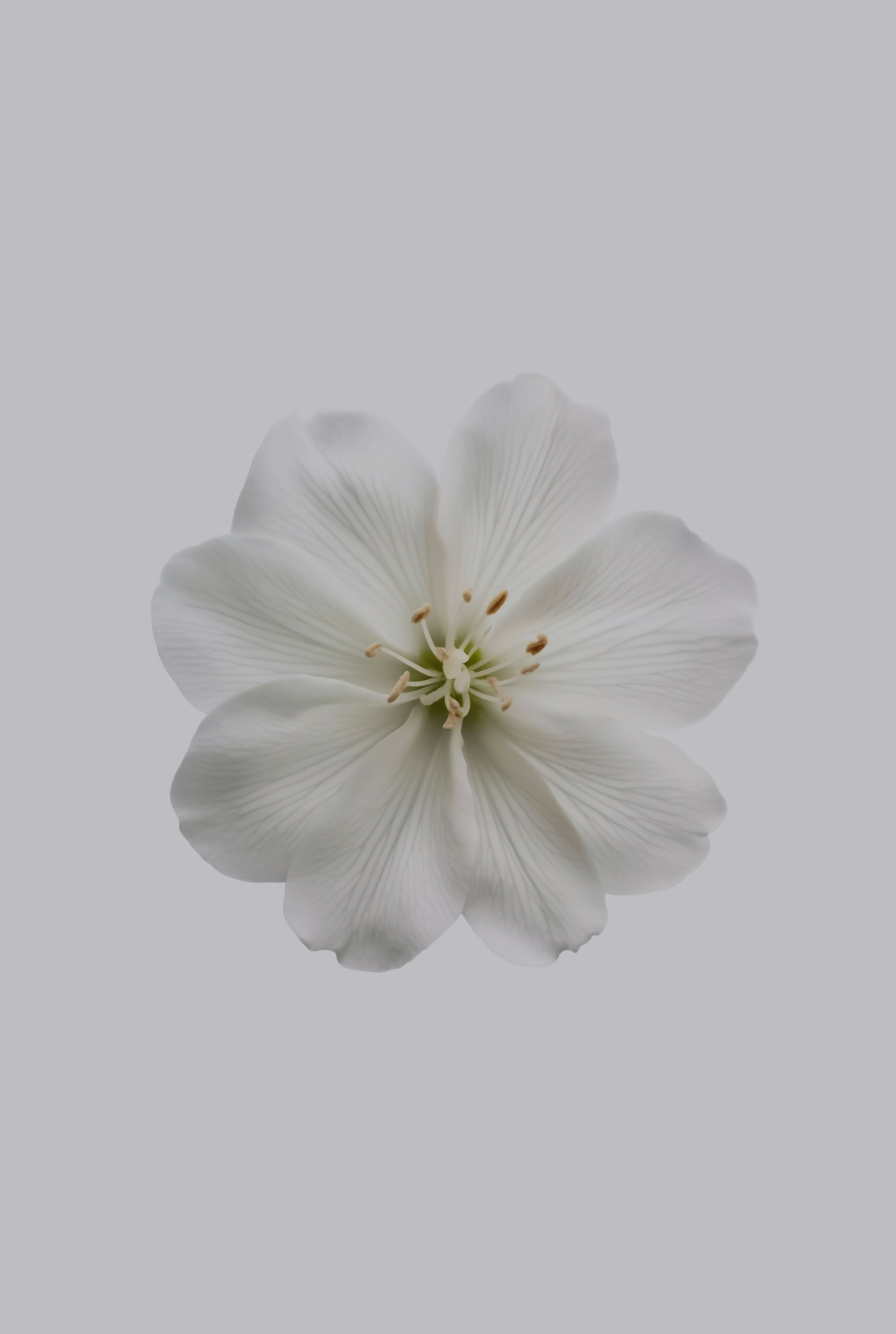 Fresh Jasmine 180 ml Aromatic Reed Diffuser
