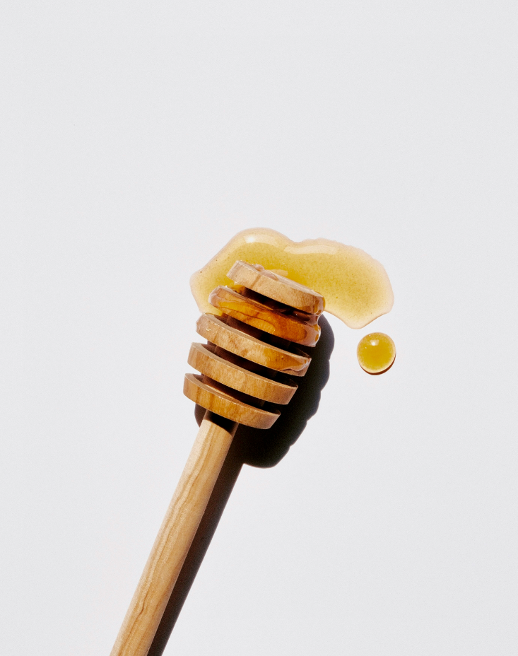 Sweet Honey 10 oz aromatic scented candle