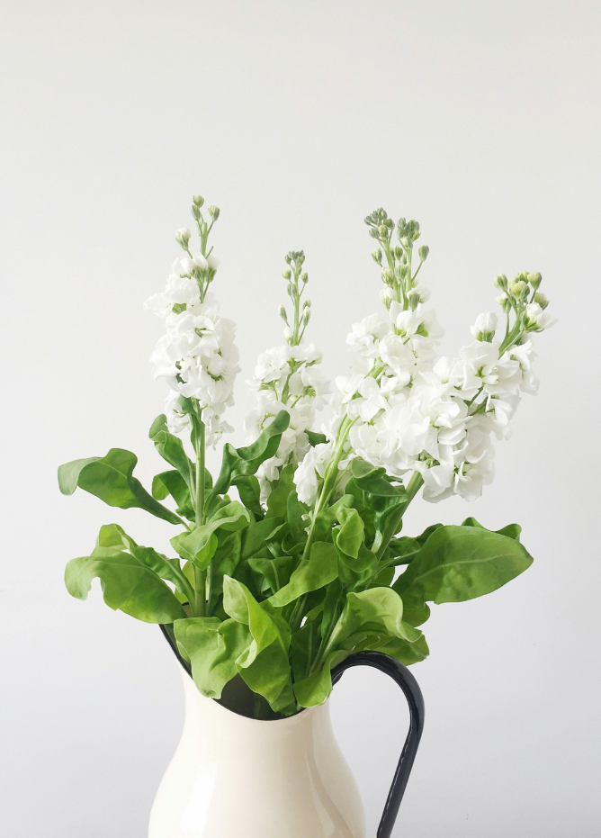 White Flowers 15.7 oz Gentle Liquid Hand Soap