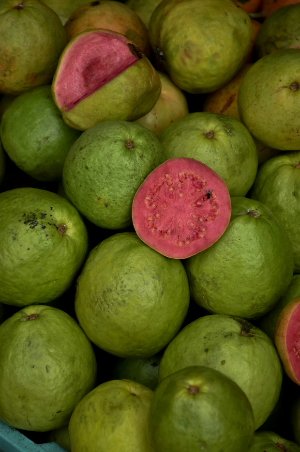 Paradise Guava 12 oz aromatic scented candle