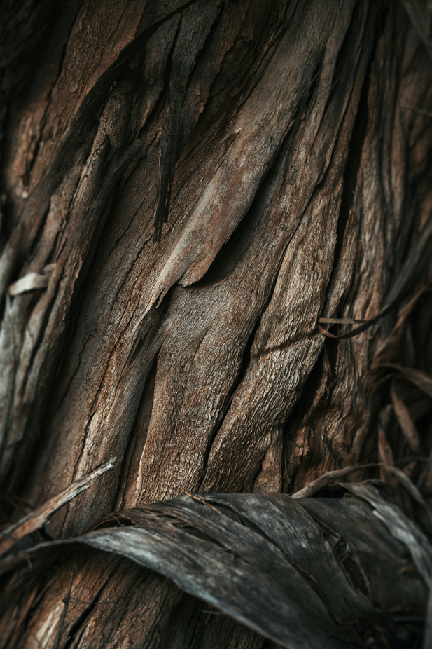 Vanilla Sandalwood 12 oz aromatic scented candle