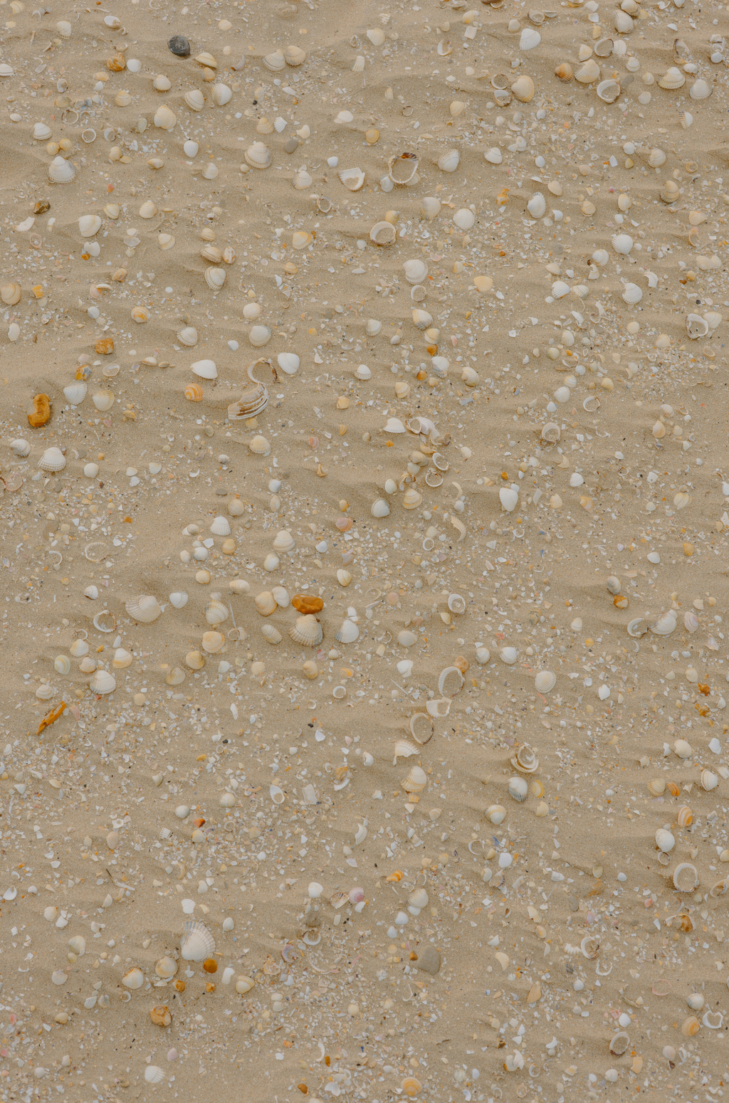 Ocean & Sea Salt 110 ml Aromatic Reed Diffuser