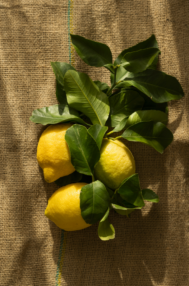Olive & Lemon 10 oz aromatic scented candle