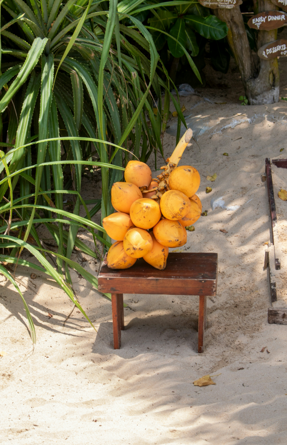 Coconut Blossom 50 ml Luxurious Perfume Oil Dropper