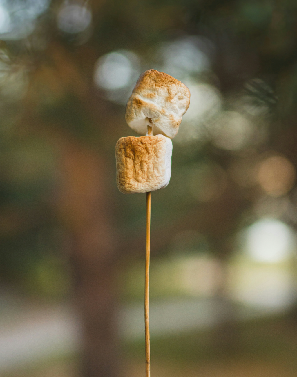 Toasted Marshmallow 50ml Luxurious Perfume Oil Dropper
