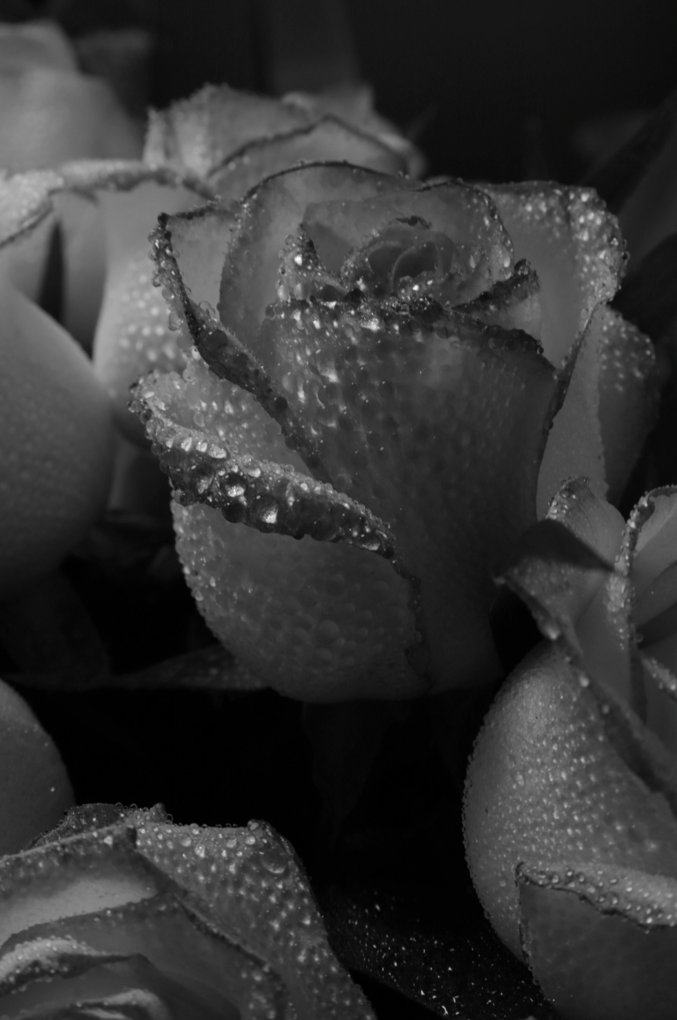 Rose Dew 50ml Luxurious Perfume Oil Dropper