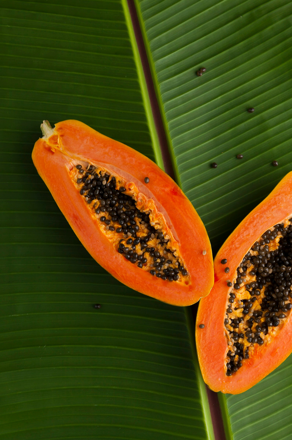 Island Papaya 12 oz aromatic scented candle