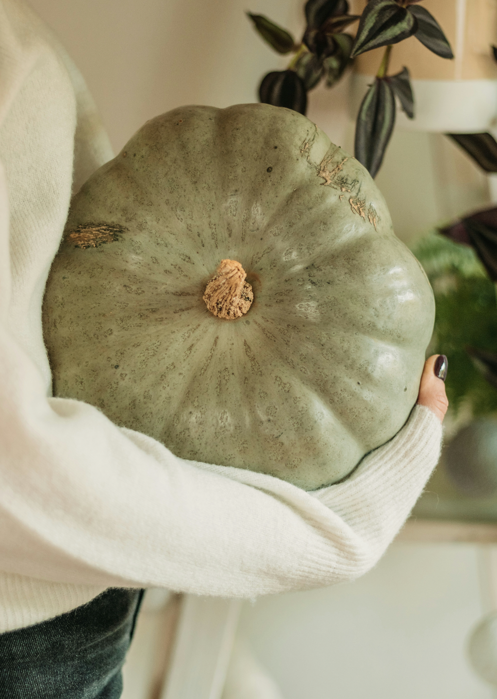 Sage Pumpkin 8.45 oz Gentle Liquid Hand Soap