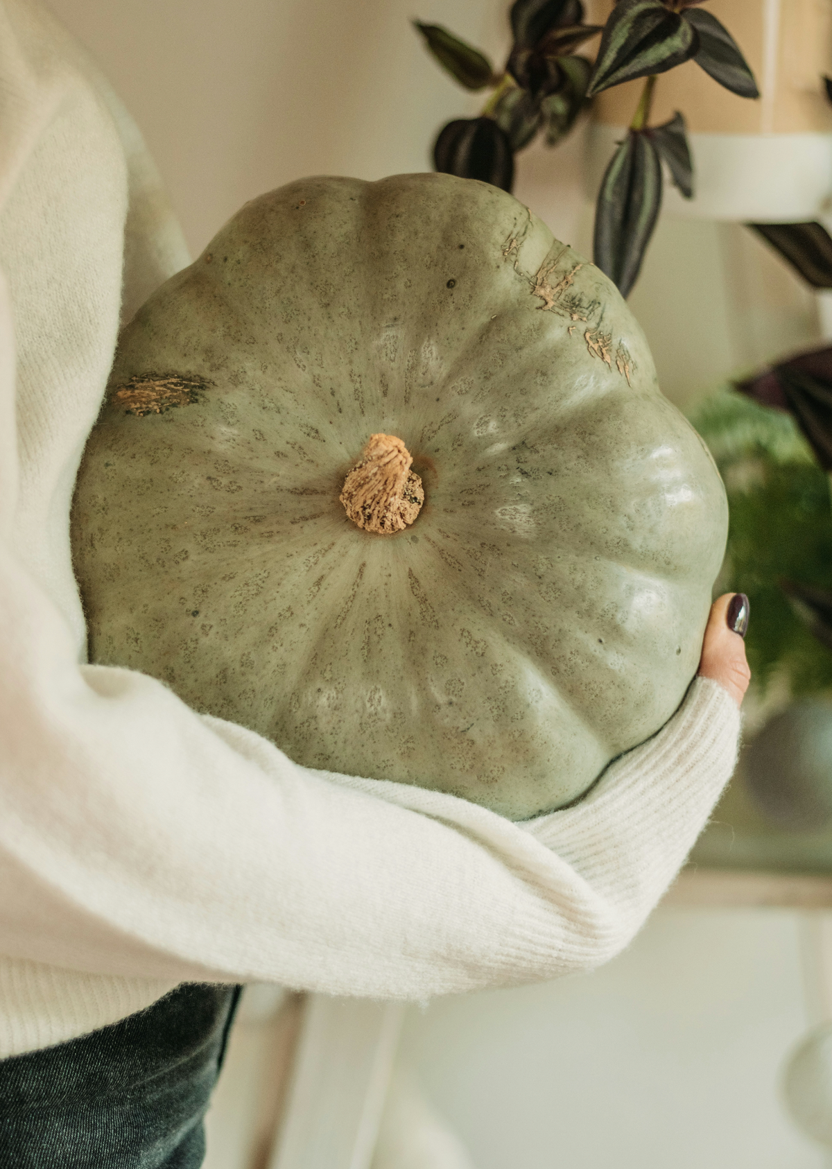 Sage Pumpkin 8.45 oz Gentle Liquid Hand Soap