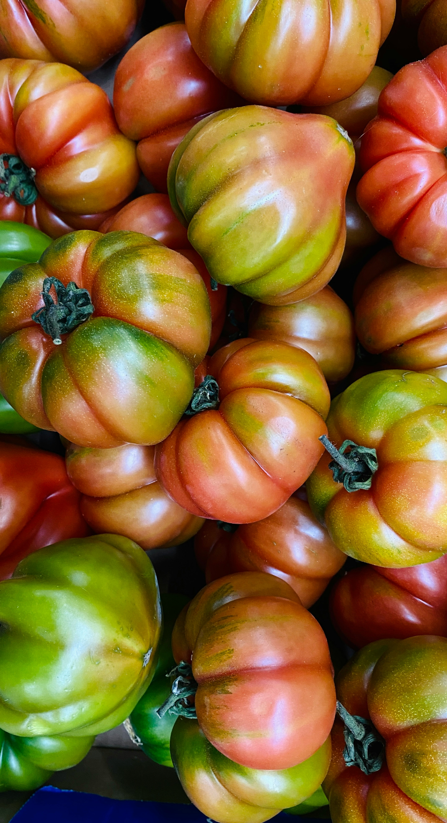 Sicilian Tomato 12 oz aromatic scented candle