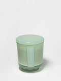 Seaside Dreams 8 oz aromatic scented candle