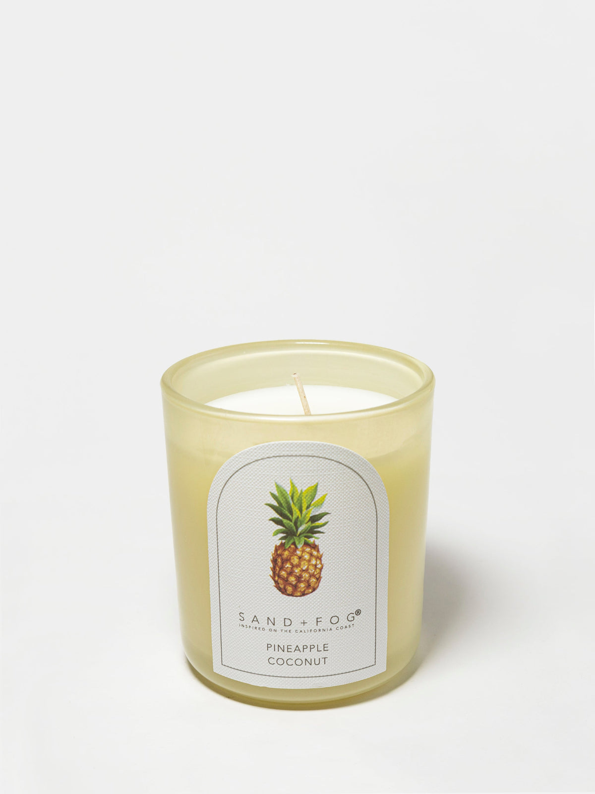 Pineapple Coconut 10 oz aromatic scented candle