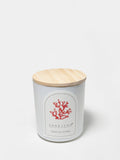 Tropical Citrus 10 oz aromatic scented candle