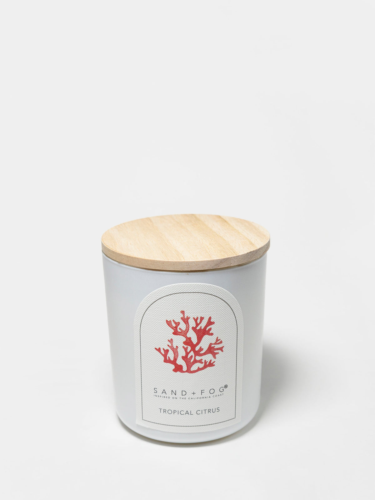 Tropical Citrus 10 oz aromatic scented candle