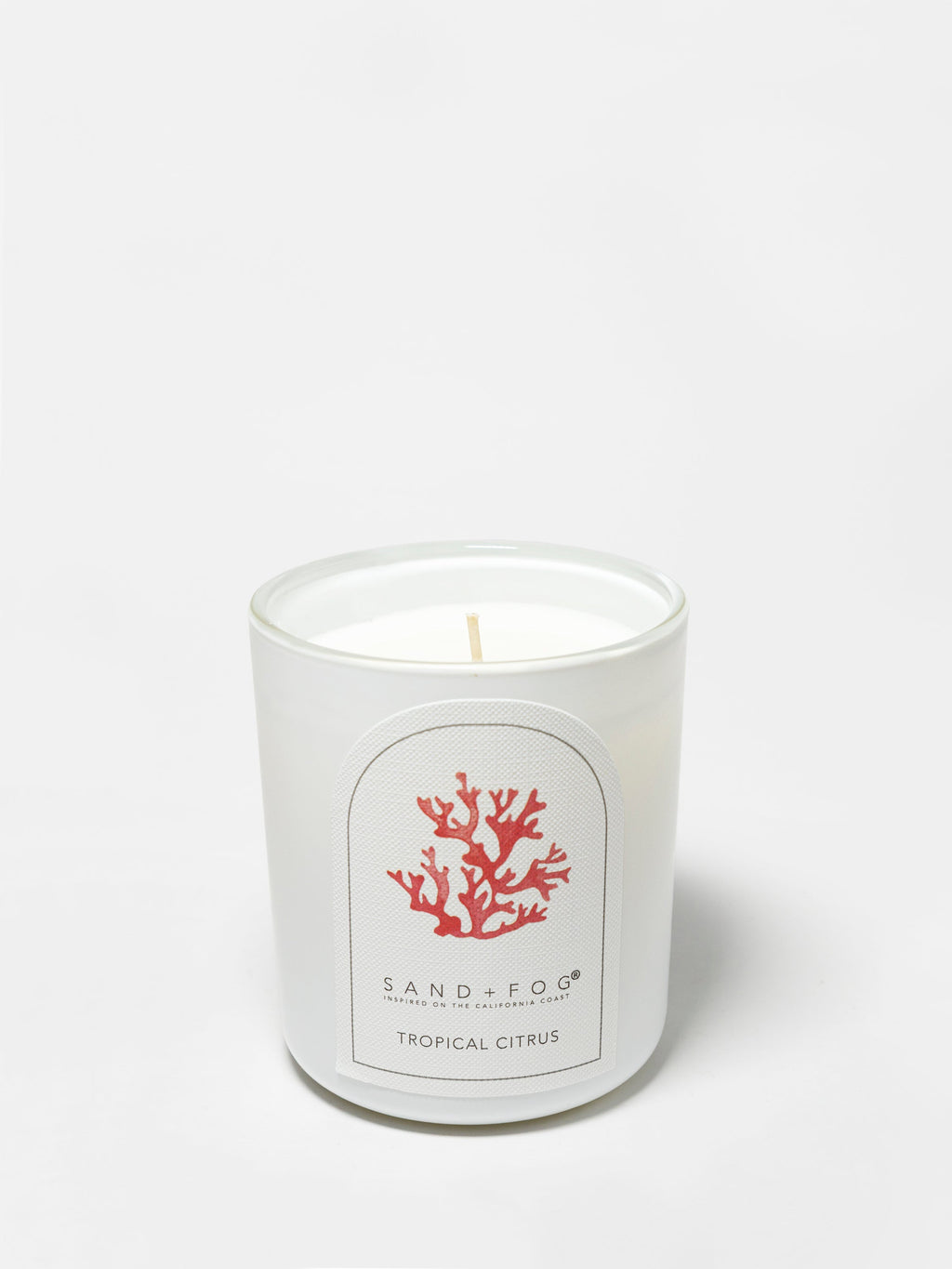 Tropical Citrus 10 oz aromatic scented candle