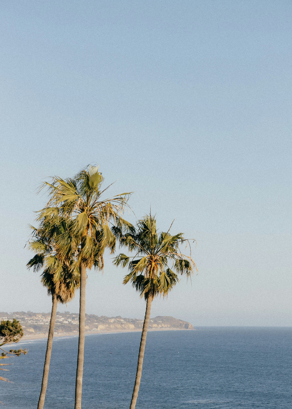 Malibu 12.7 oz Exfoliating Body Scrub